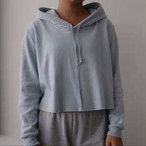 Light Blue Cropped Hoodie 🦋🐬